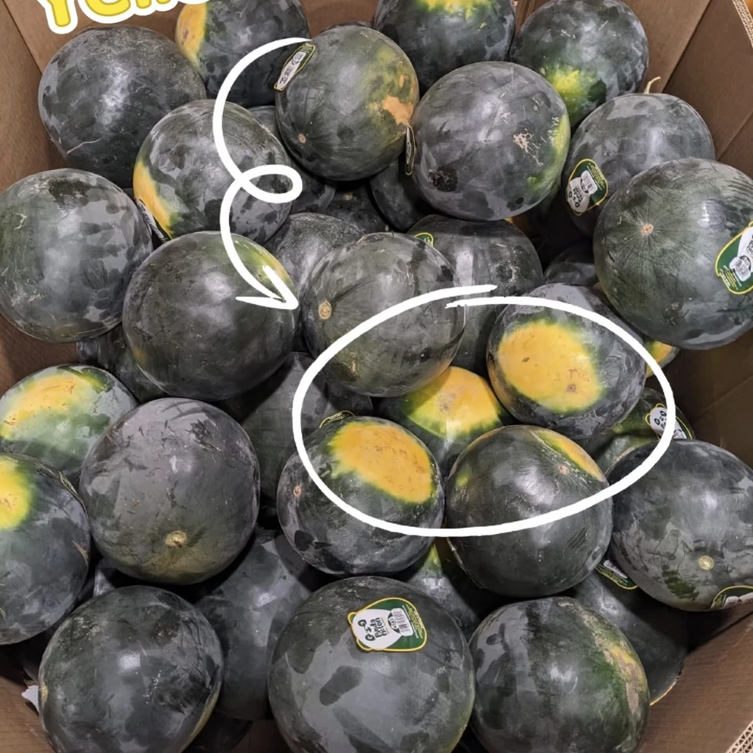 黑美人西瓜 比甜王西瓜更甜半个约8斤上海市