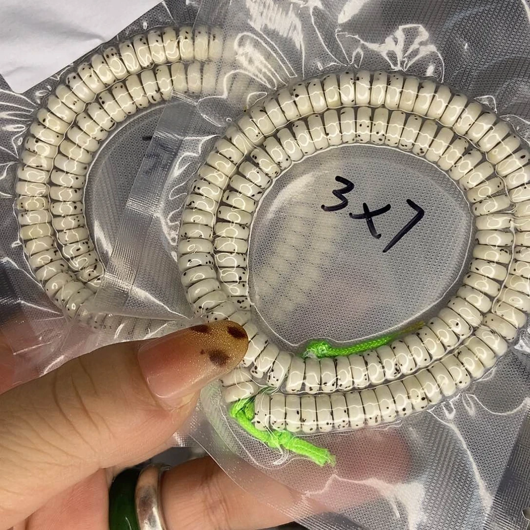 爱****星月菩提手串星月