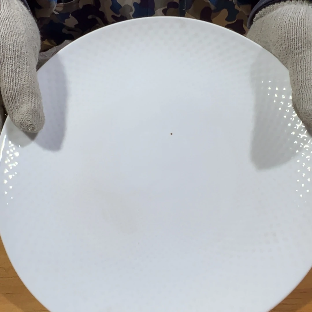 碟这个世界都是瑕疵