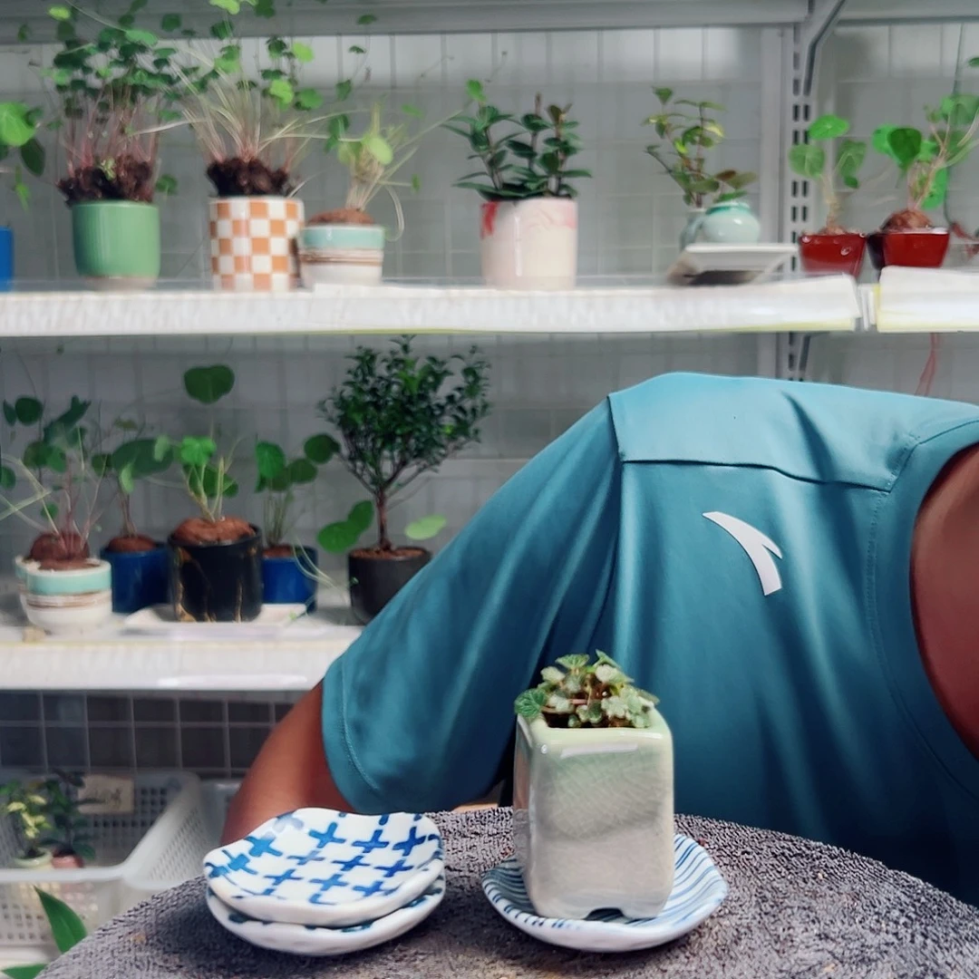 雨***滴无花朵53