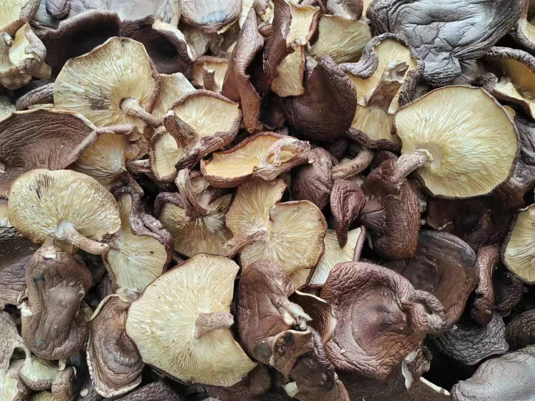 正宗农家土特产现称现发——野生菌