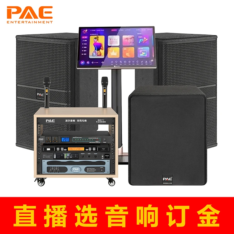 德国PAE·派尔音响·非同凡响 500元选音响设备 付尾款后发货