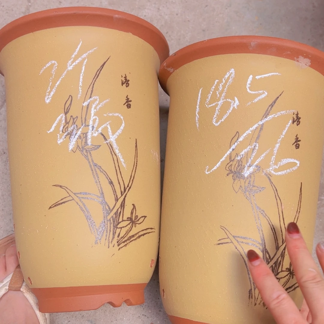 31……………………………………