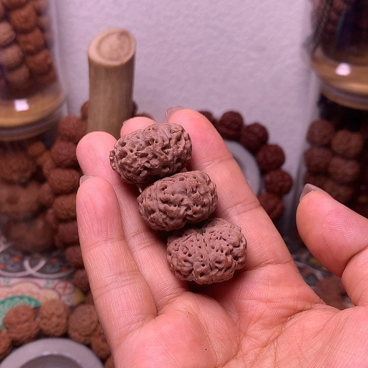 金刚菩提吊坠夹板