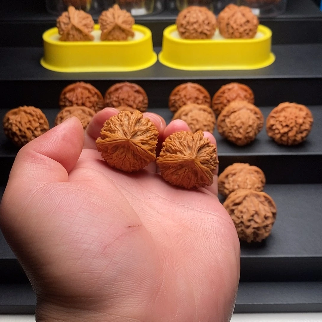 文玩核桃把件34御龙三棱