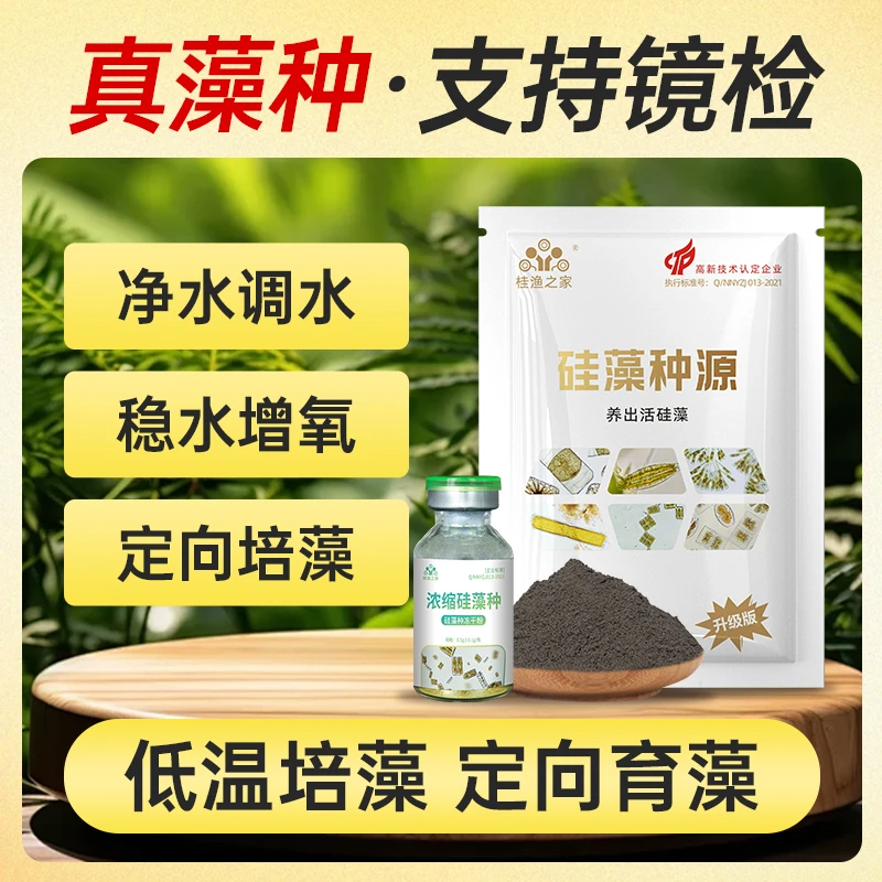 硅藻藻种绿藻小球藻水产养殖专用复合藻种肥水低温培藻调水肥水