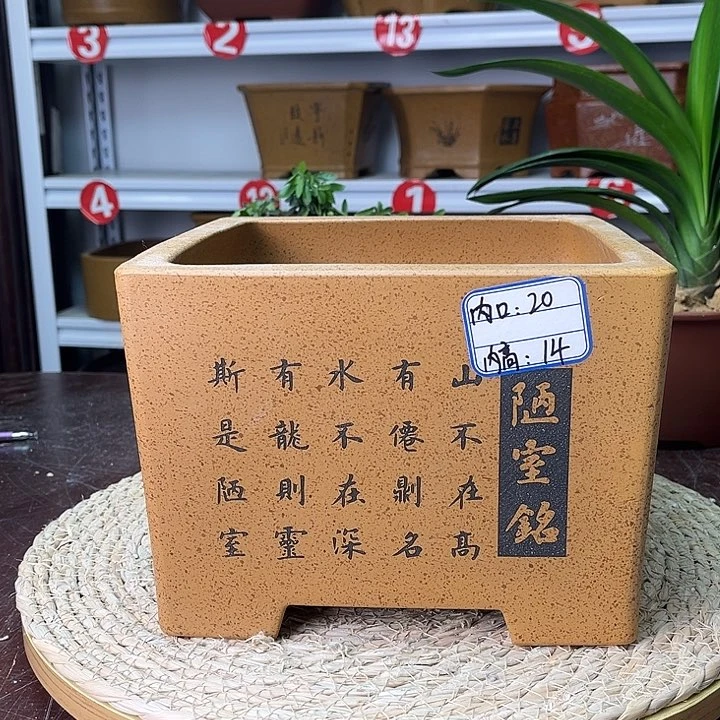 紫砂花盆紫砂花茶