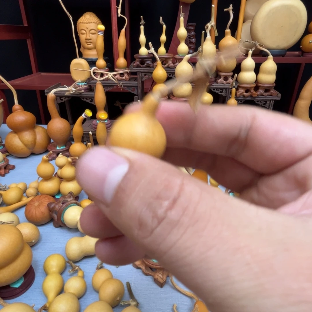 無***藤木我的小可爱，一点也不像个女孩