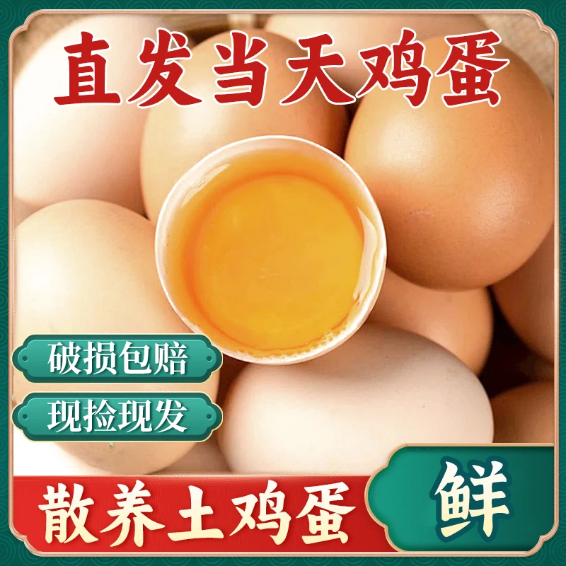 【10枚土鸡蛋】农家散养土鸡蛋 现拣现发 破损包赔 10枚/400g