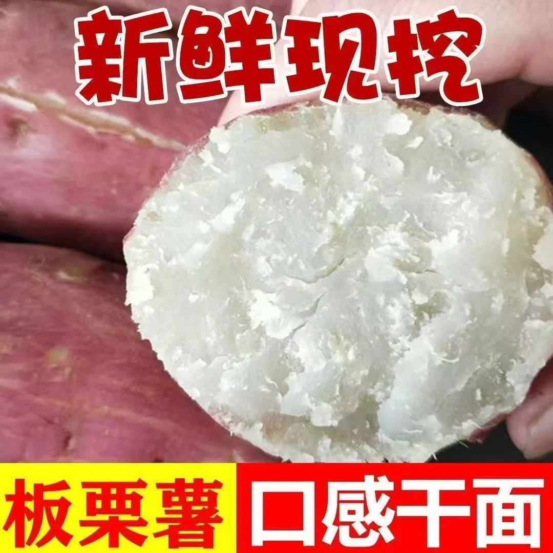 正宗爆皮王番薯白心红薯紫皮白心新鲜香甜农家干面商薯19现挖地瓜