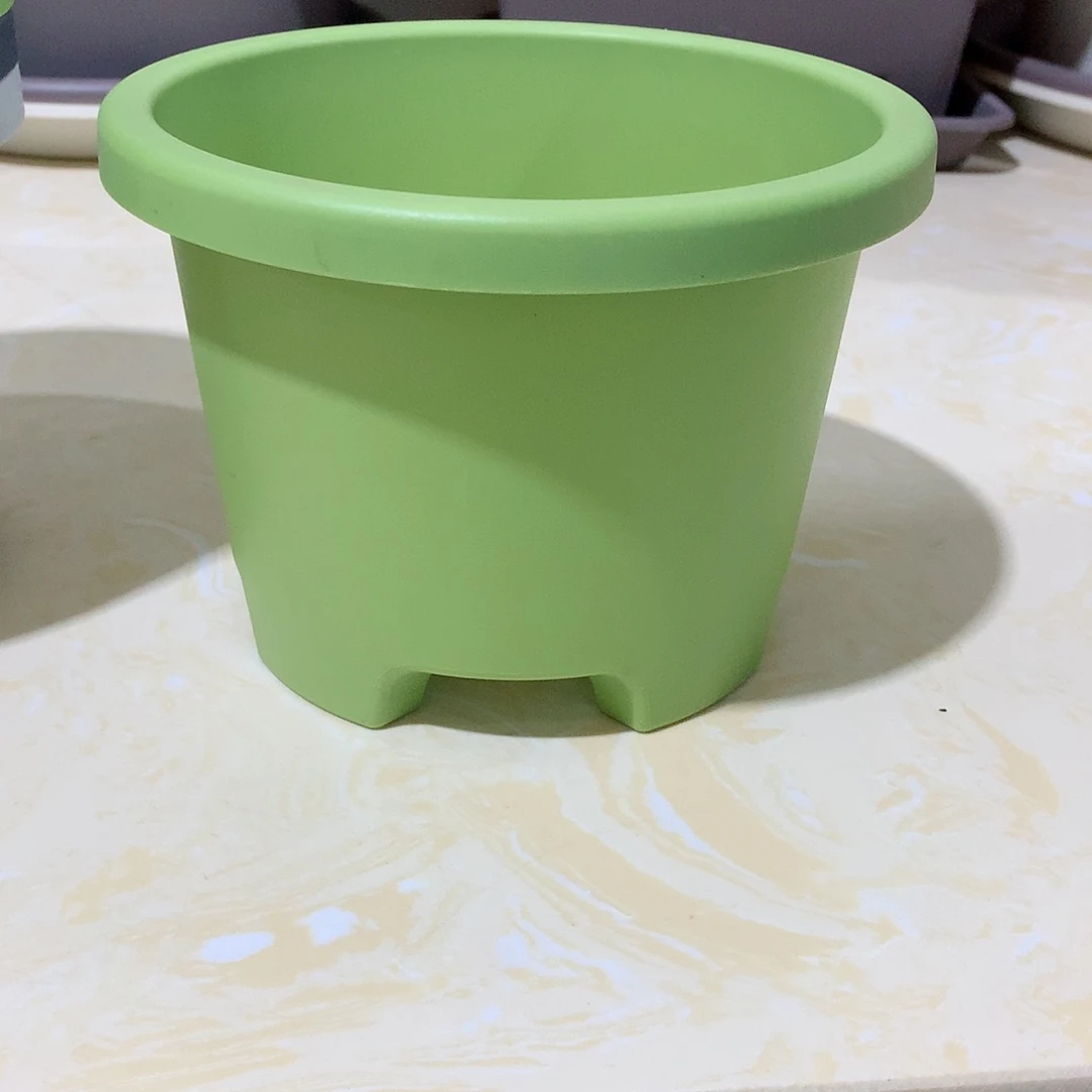 球根口17果绿5个无托