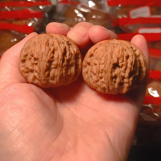 文玩核桃把件白狮子40