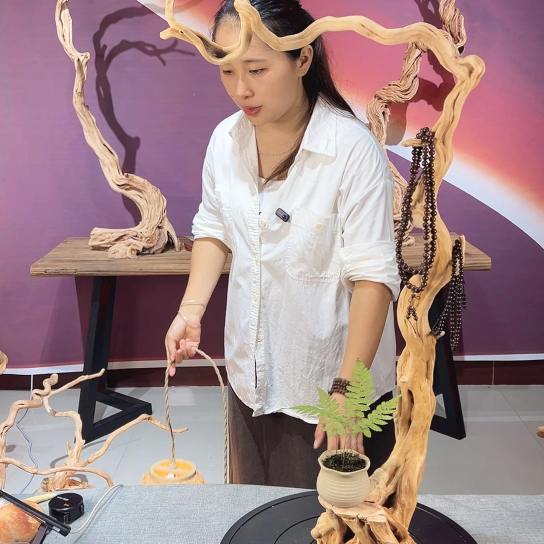 安***木天然杜鹃根根艺摆件