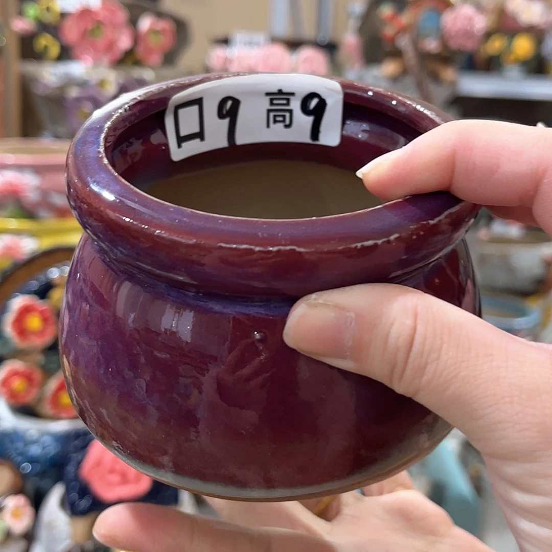 【闪购商品】红陶福利