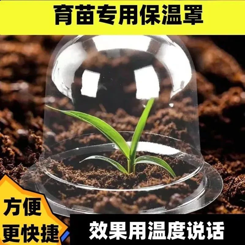 育苗保护罩透明钟罩可重复使用温室大棚加厚防寒园艺绿植育苗用品