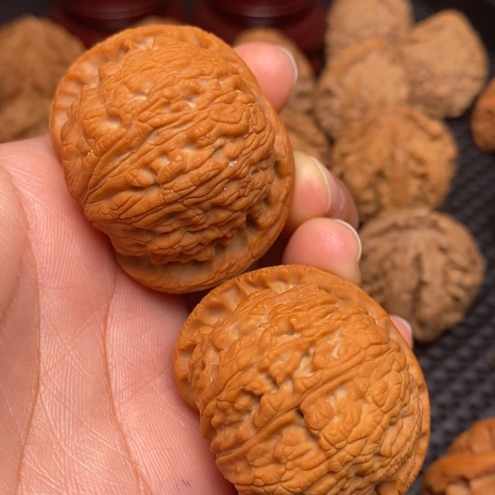 秦岭野生11111111