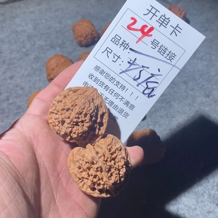 文玩核桃把件24快乐咯五节快乐