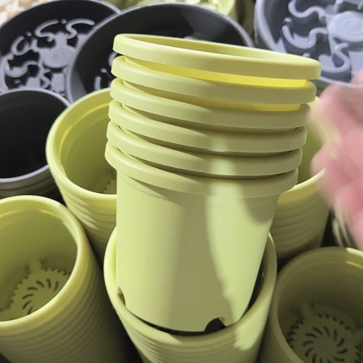 四季2#果绿10个无托