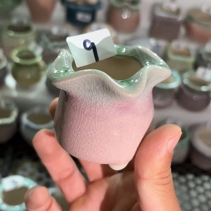 红陶量货｜口高深浅搭配发6