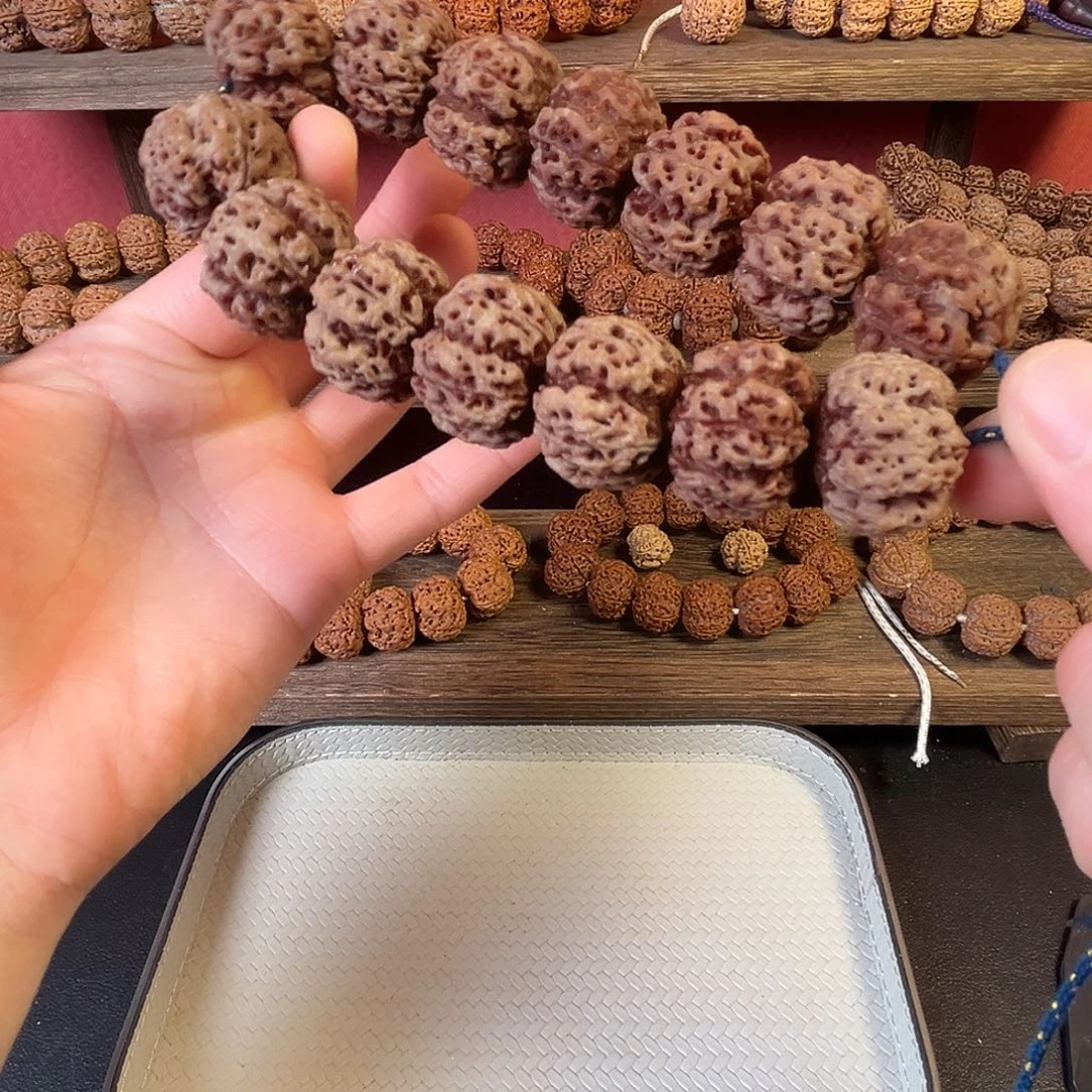 吊坠金刚菩提嫁接梁