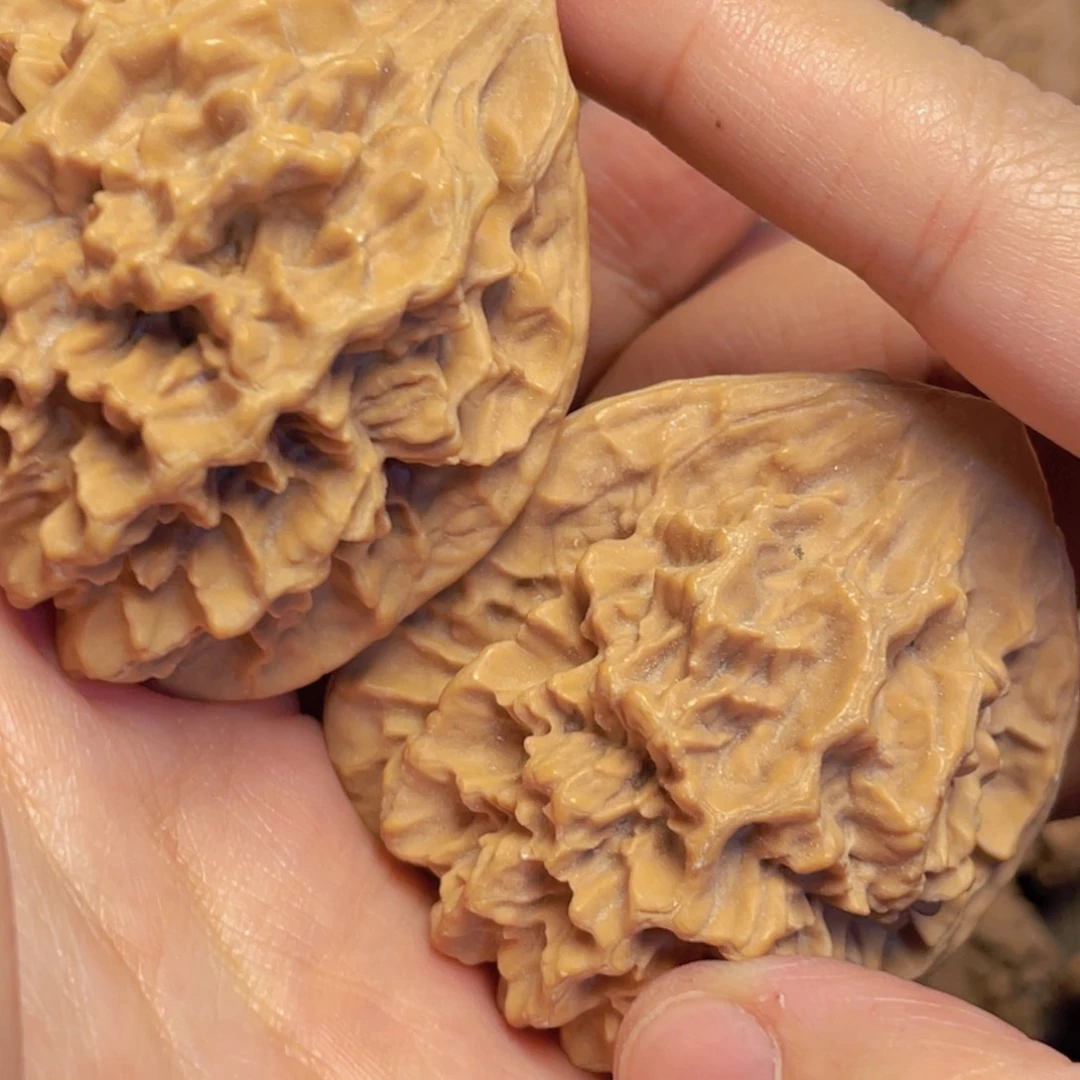 守***明桃核把件19 秦岭灯笼野生小众