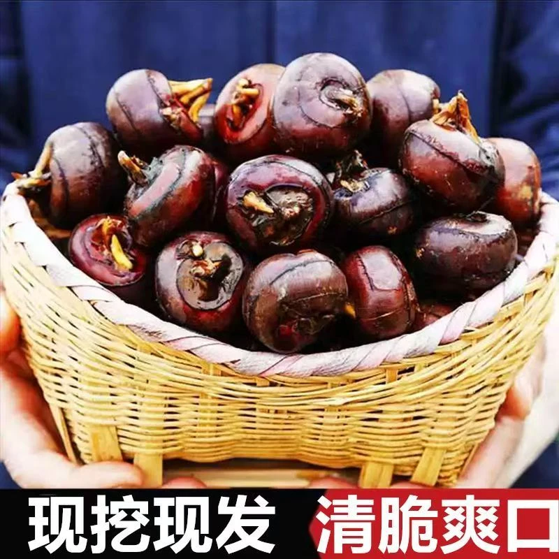 云南高原山货荸荠农产品