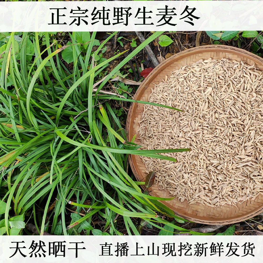 深山纯野生麦冬干货精选无硫天然晒干新鲜现挖玉竹泡水煲汤食材