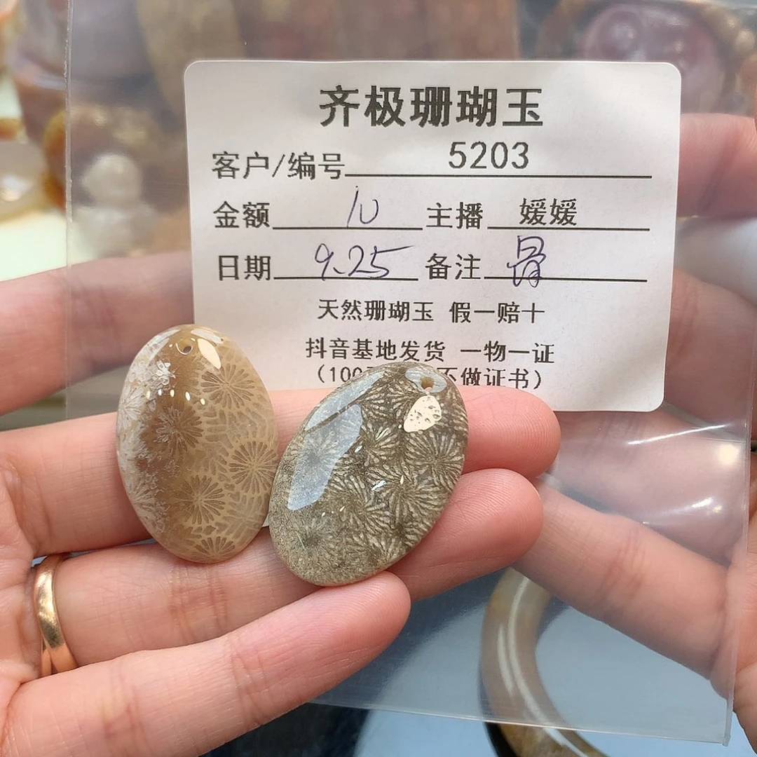 颈饰未镶嵌硅化珊瑚（珊瑚玉）娇*
