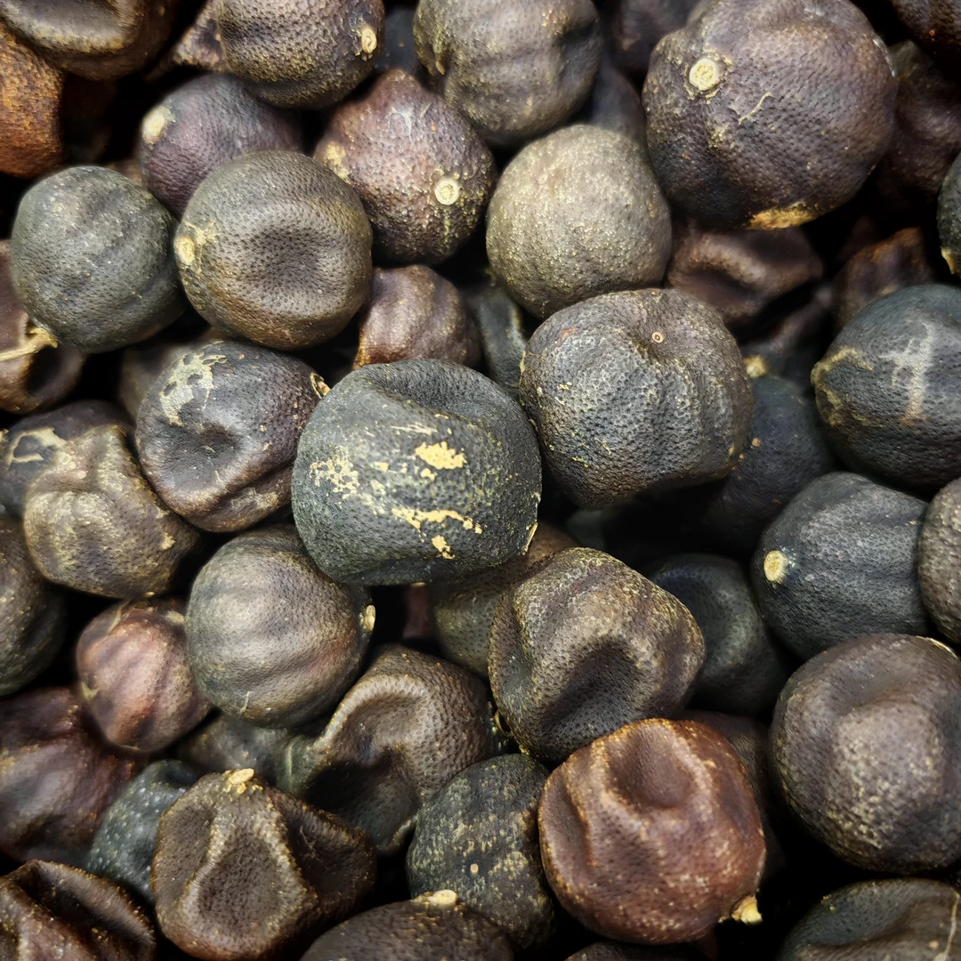 【周生专属】2005东甲 圈枝老树 灯笼果 瓮灯笼 250克 拍一发三