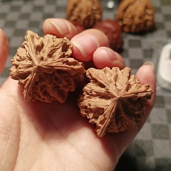 三棱39尺寸盘山公子帽