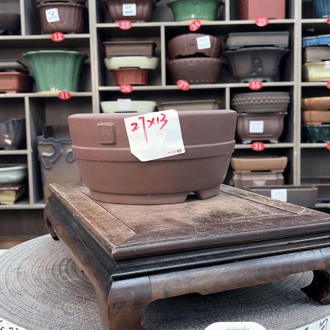 紫砂花盆紫砂的花也太美