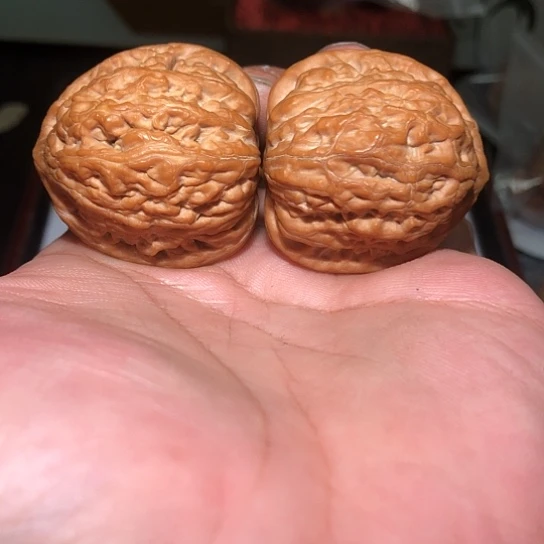 有机玻璃全家福39原铁锤