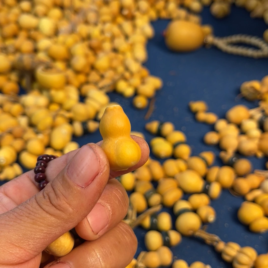 *‍****葫芦葫芦葫芦葫芦葫芦