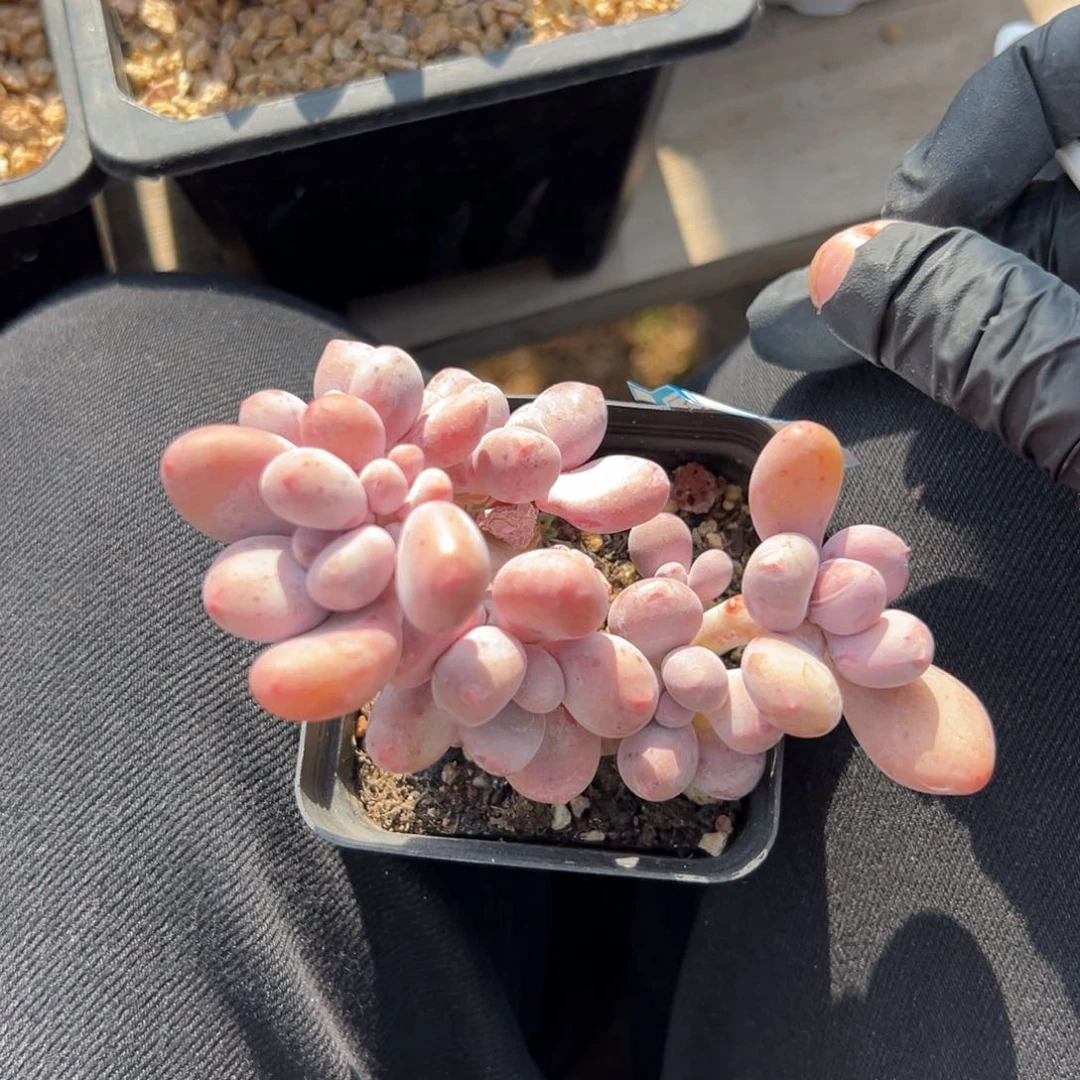 几***界1111111111111111111111