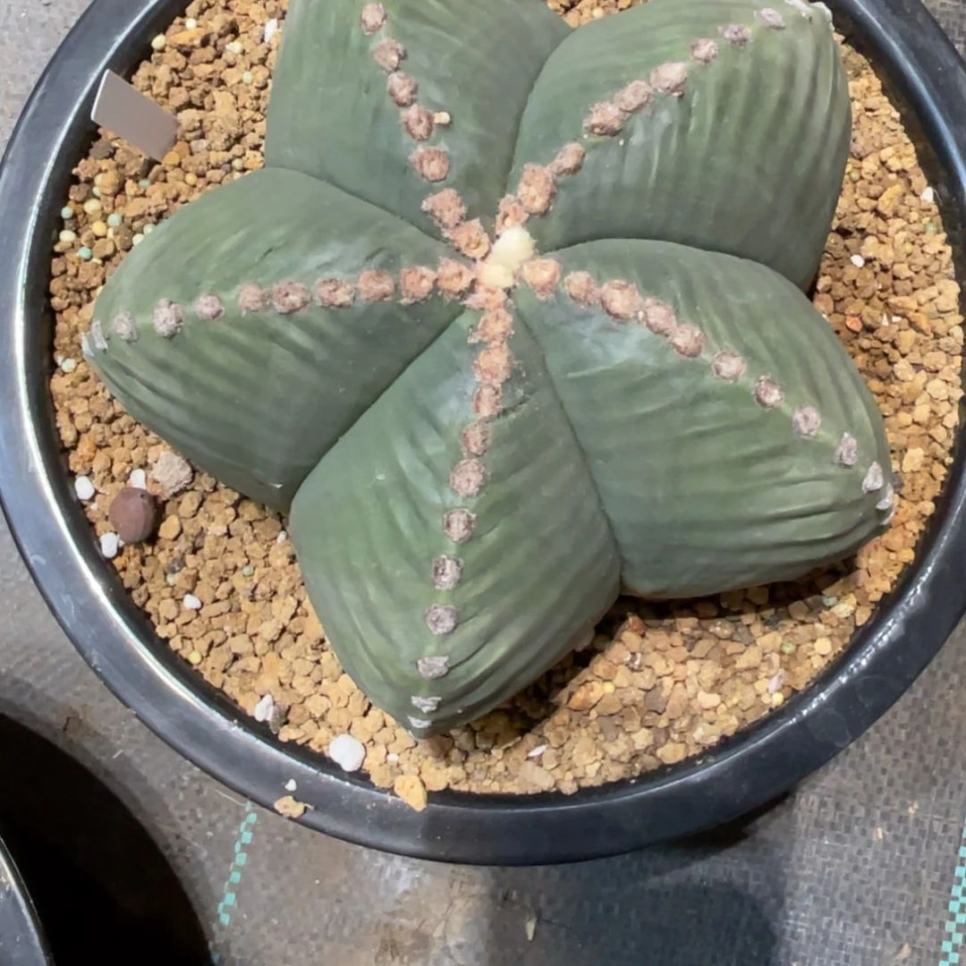 人***…哈哈哈哈哈哈哈哈哈哈哈