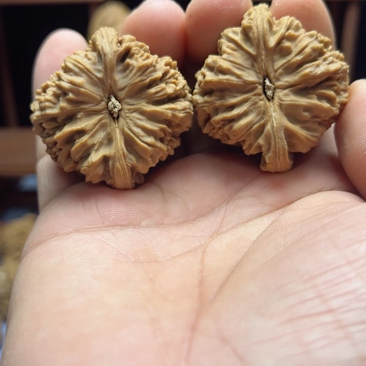 完全开放恩*缔南疆石