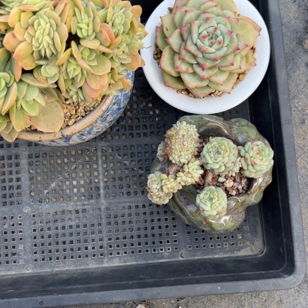 y****1111111111111111111