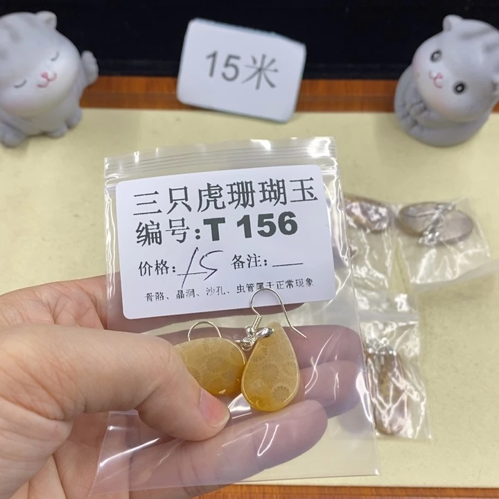 硅化珊瑚（珊瑚玉）1未镶嵌九***祥