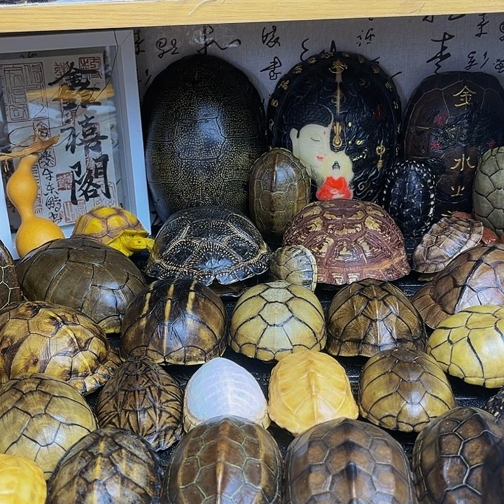 【闪购商品】有机玻璃书*