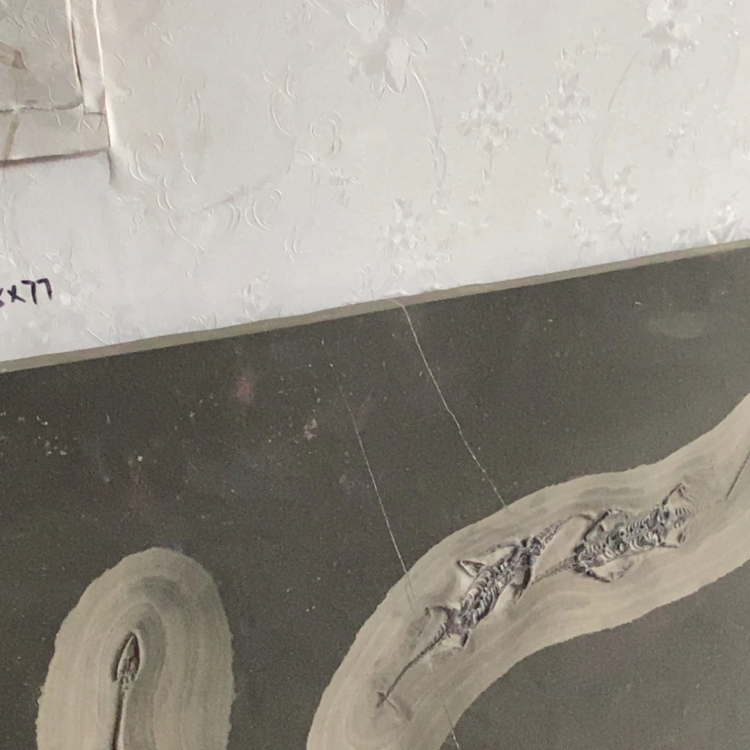 石材：*：大自然的秘密就是这样神奇