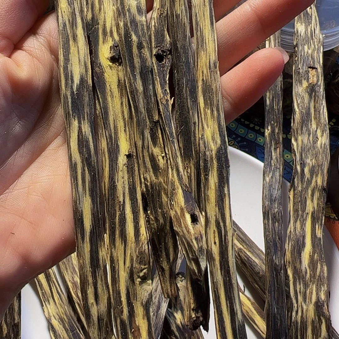 沉香木手把件旭*绿棋楠透顶绿料