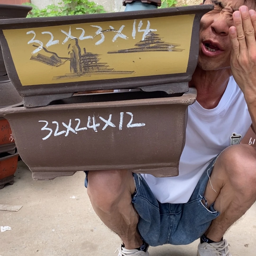 紫砂紫砂紫砂紫砂