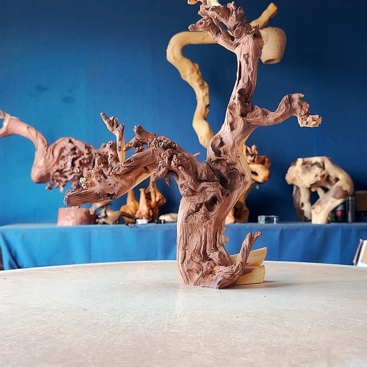 黑果木总*令800金丝红木羊蹄甲半成品