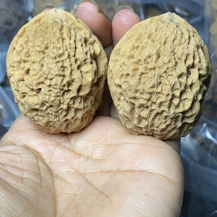 文玩核桃把件云南铁核桃67