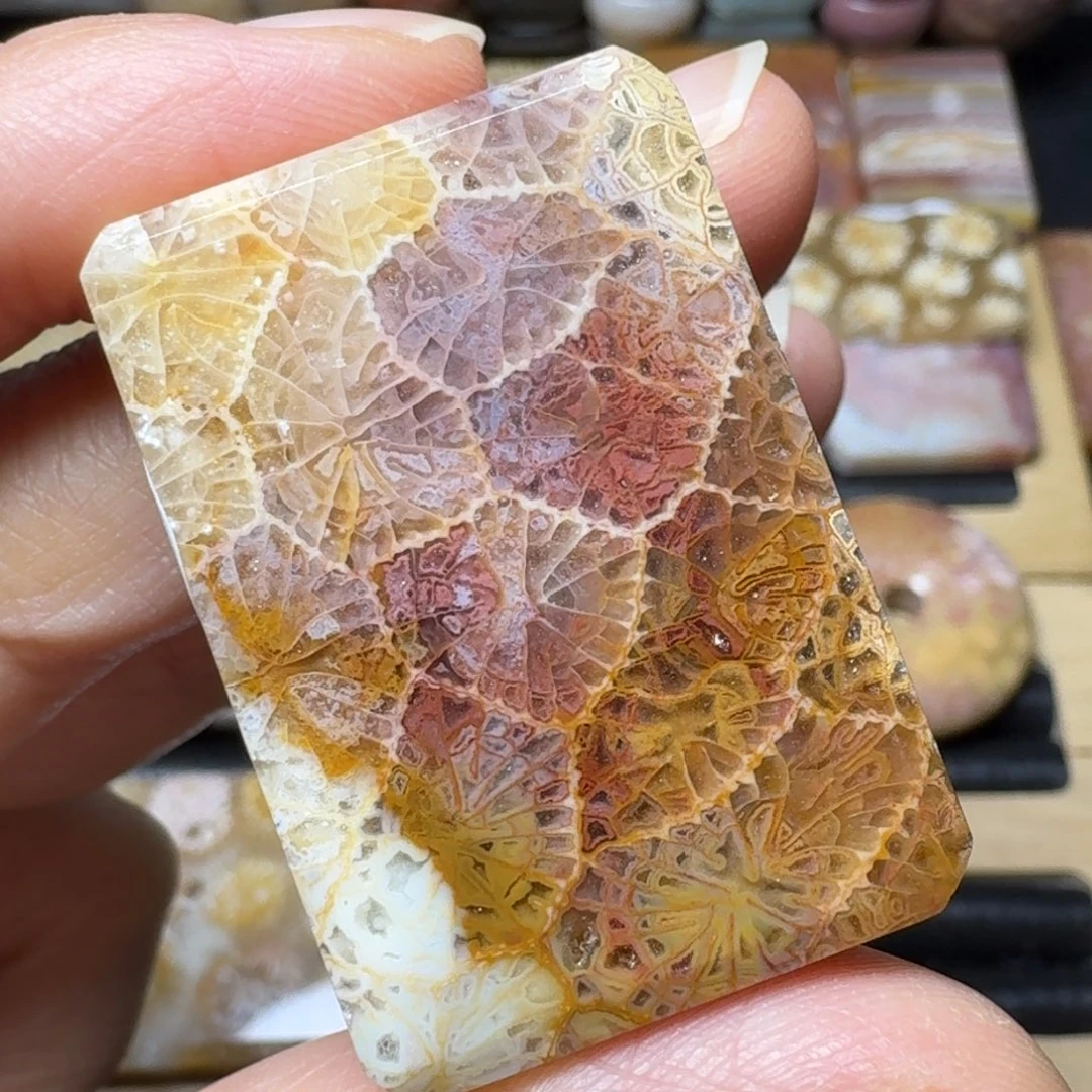 硅化玉好炫酷未镶嵌