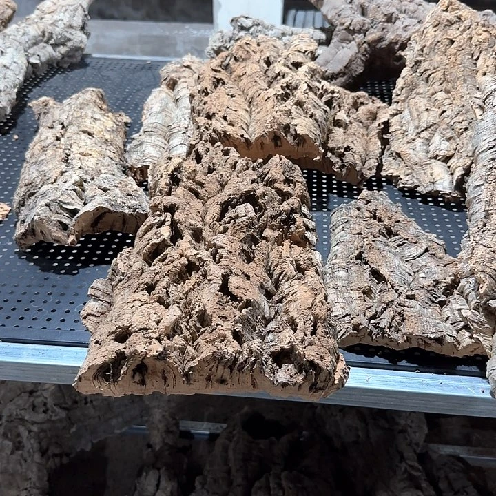乐***刘完全开放一物一拍一物一发