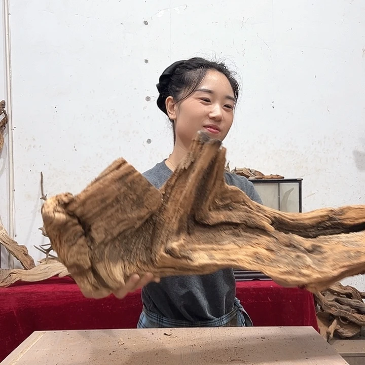 柏木点我们的生活也