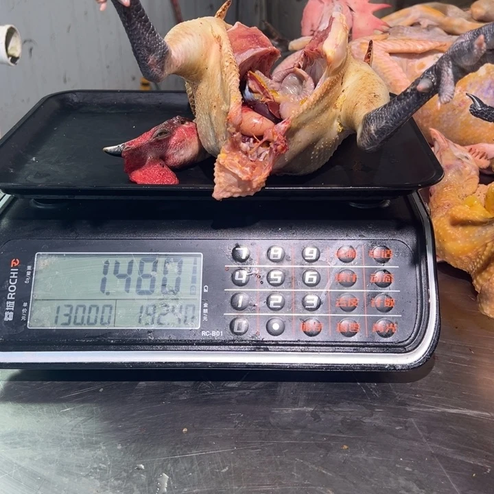 一号土鸡食用农产品中国大陆F****p
