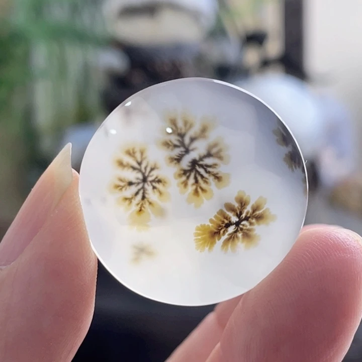 未镶嵌玛瑙/玉髓珠宝半成品