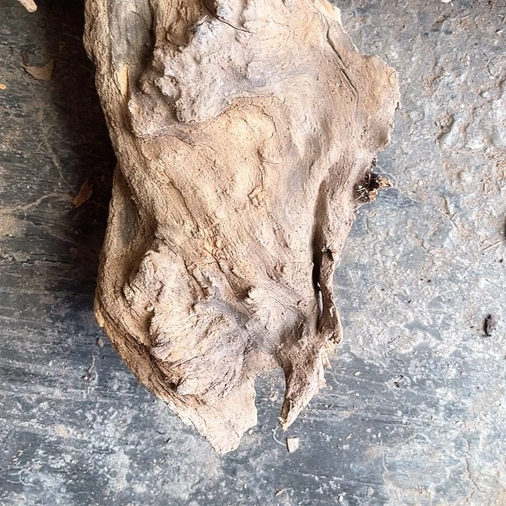 柏木（崖柏）«****»